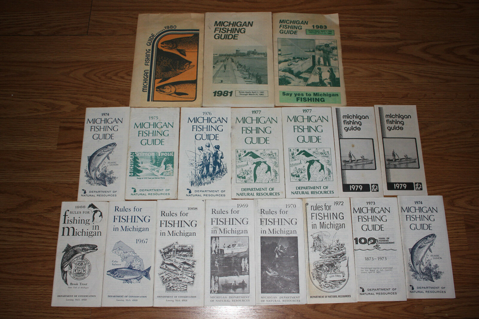 1966-1983 Michigan Fishing Guide Department Natural Resources Lot Salmon Trout